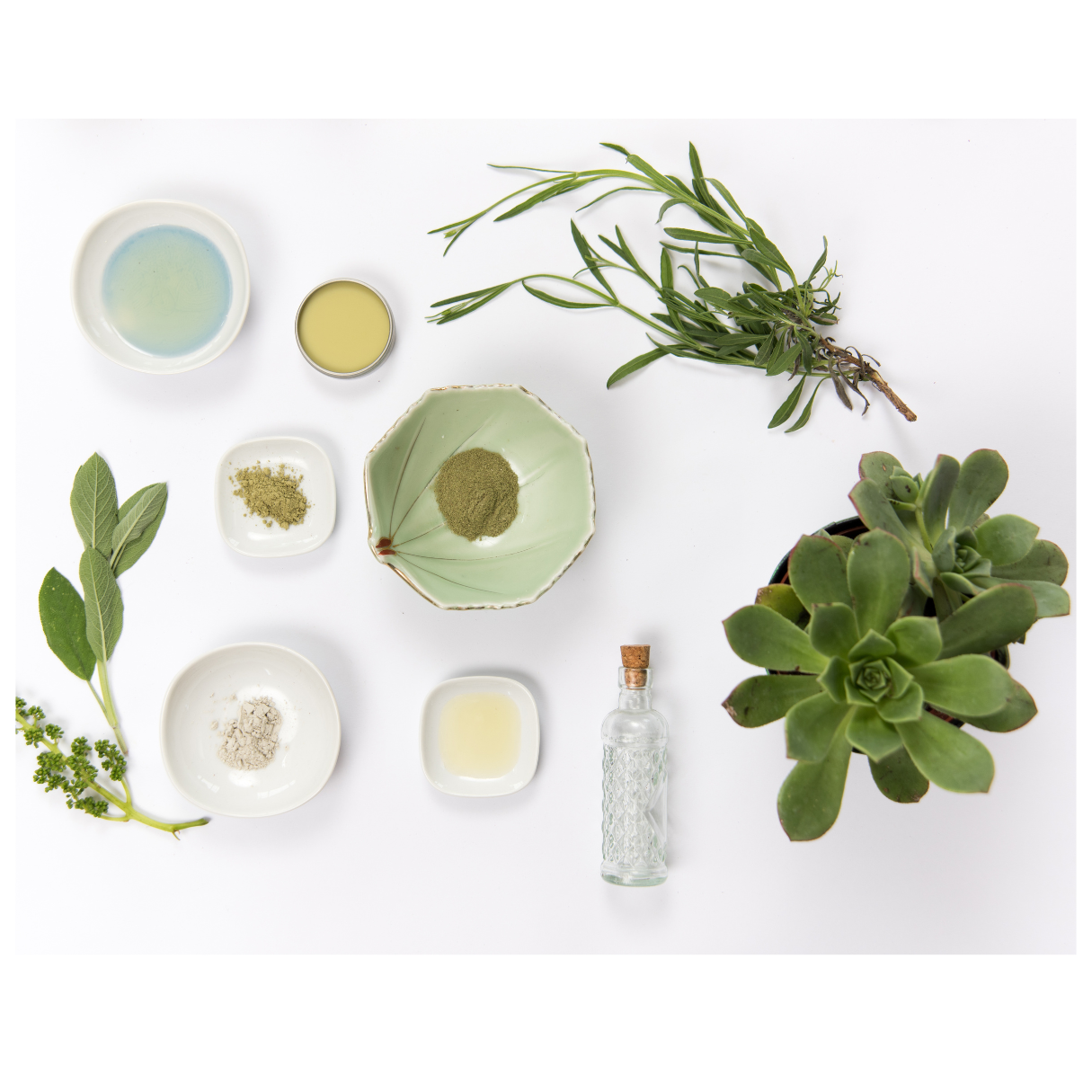 Guide to Natural and Organic Skincare: Benefits, Recognition, and Why They May Be the Best Choice for Skin and Environment - Lunox Cosmetics